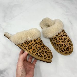 ugg scuffette leopard